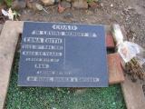 image of grave number 234148